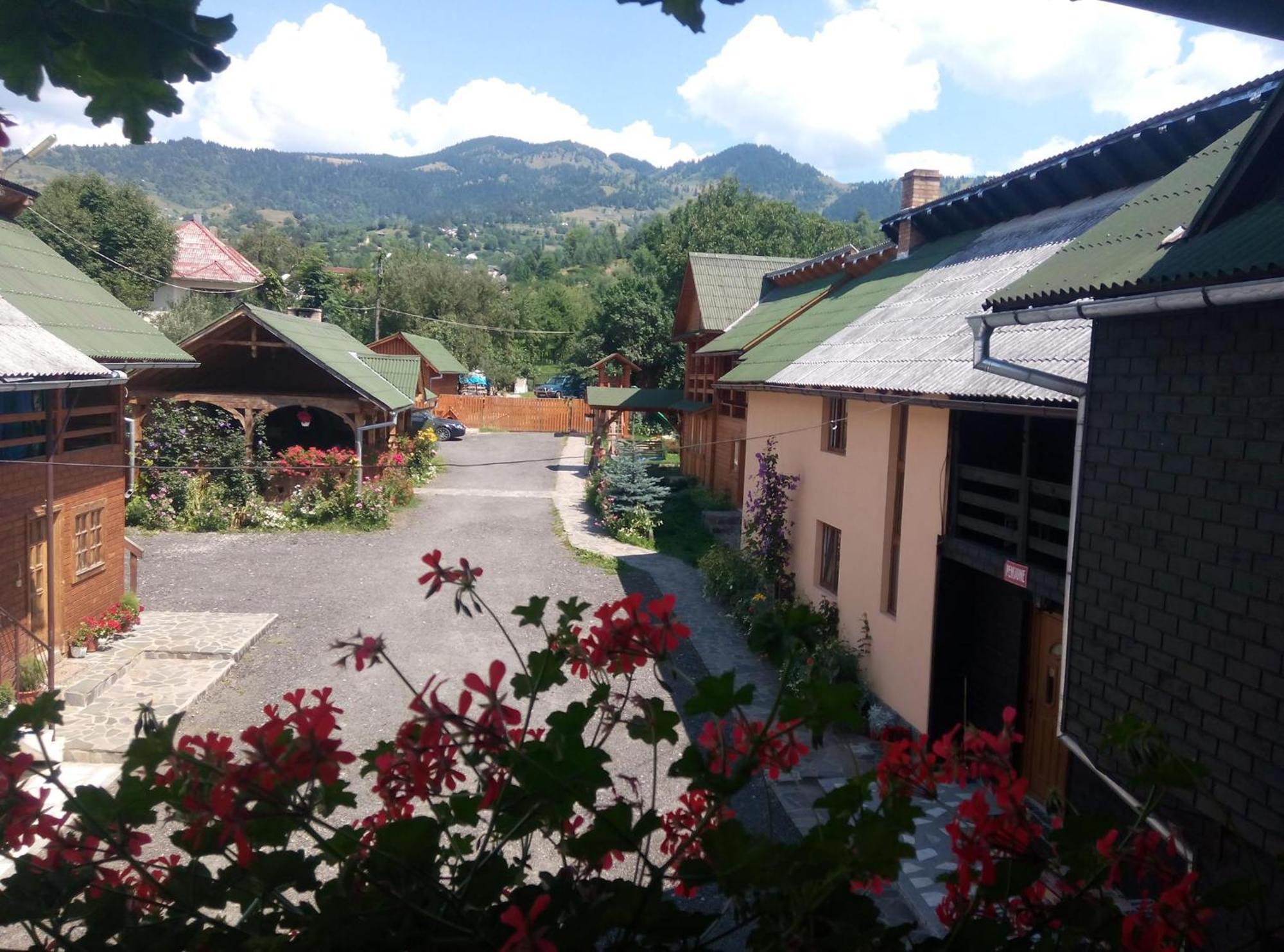 Pensiunea Poiana Borşa Exteriér fotografie